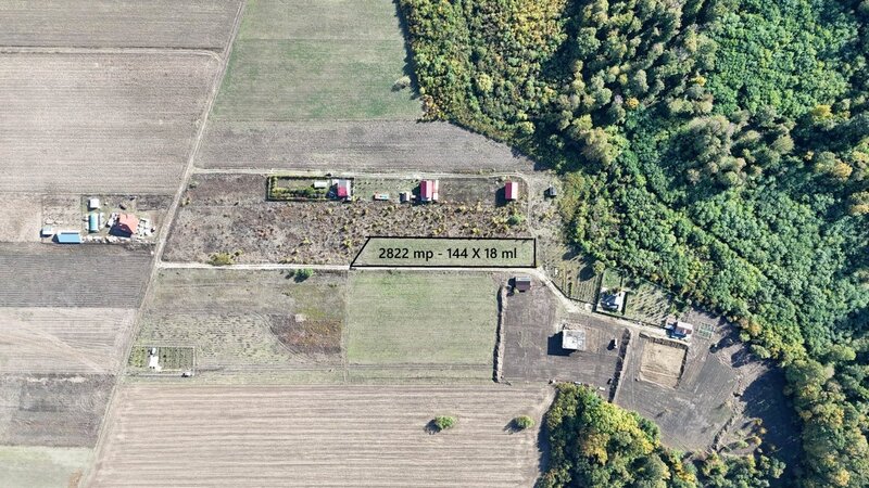 Refugiu la marginea padurii — 2822 mp de liniste in Cocani.